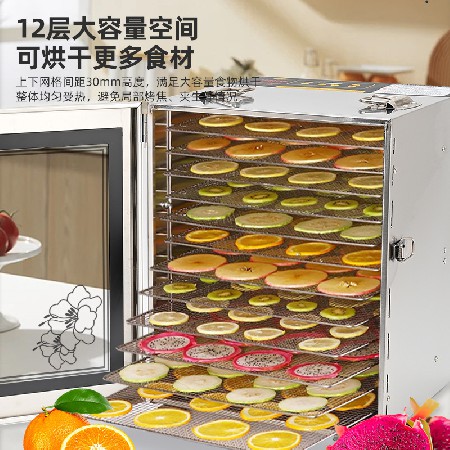 SS-HGJ-10/12 智能食物烘干机