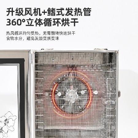 SS-HGJ-10/12 智能食物烘干机
